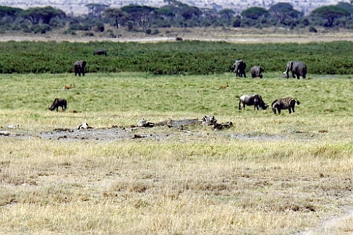 Kenia (149)